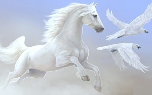 Beautiful-Horse-horses-22410557-1280-800